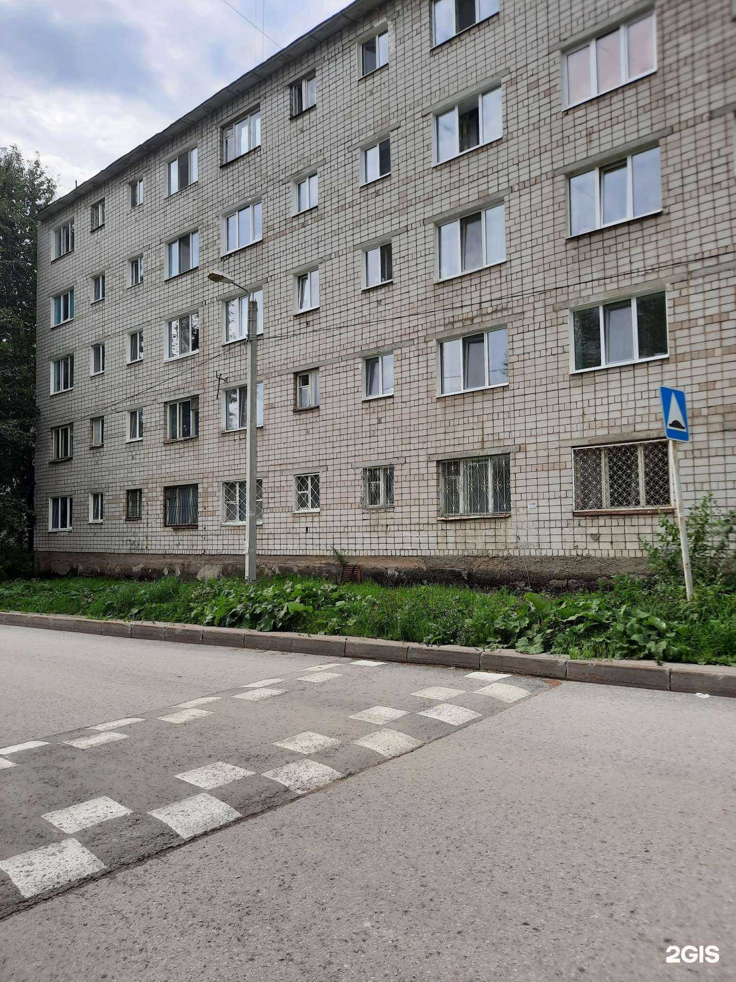 Отзывы на компанию 4 лапы в Березниках c фото - фотография 2 из 2