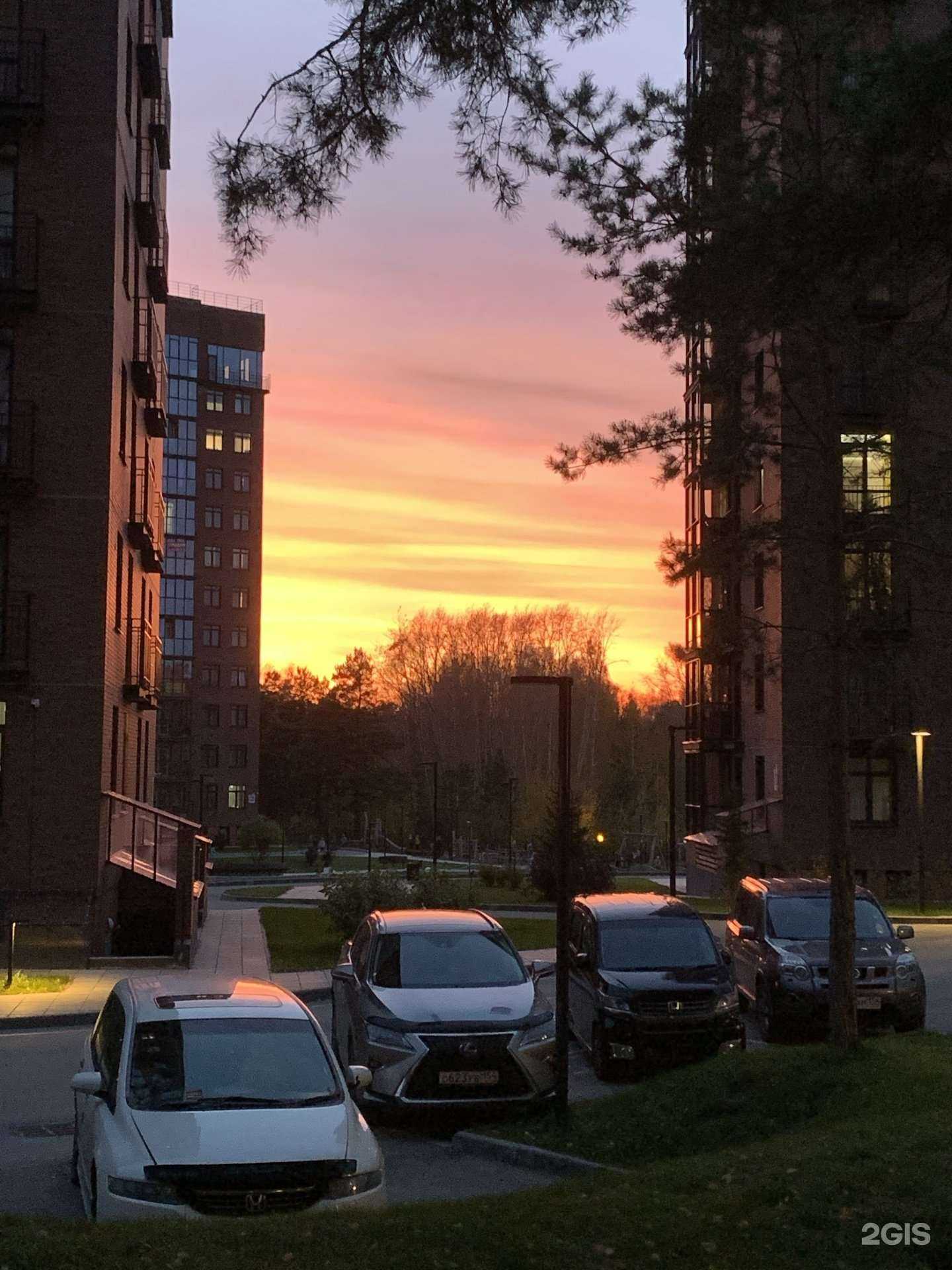 Отзывы на компанию Electric.Moto в Новосибирске c фото - фотография 2 из 2