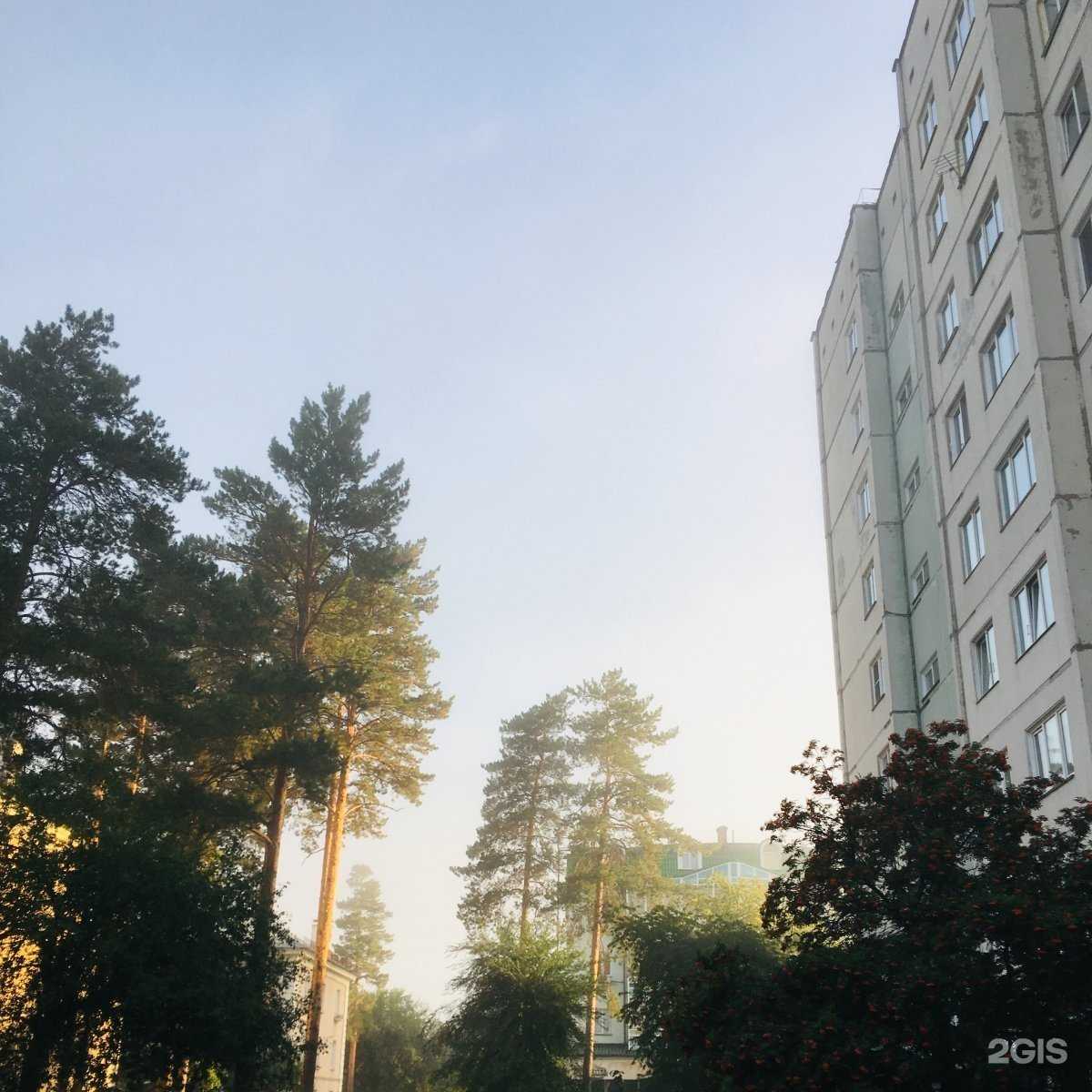 Отзывы на компанию Агентство бухгалтерских и регистрационных услуг в г. Железногорск c фото