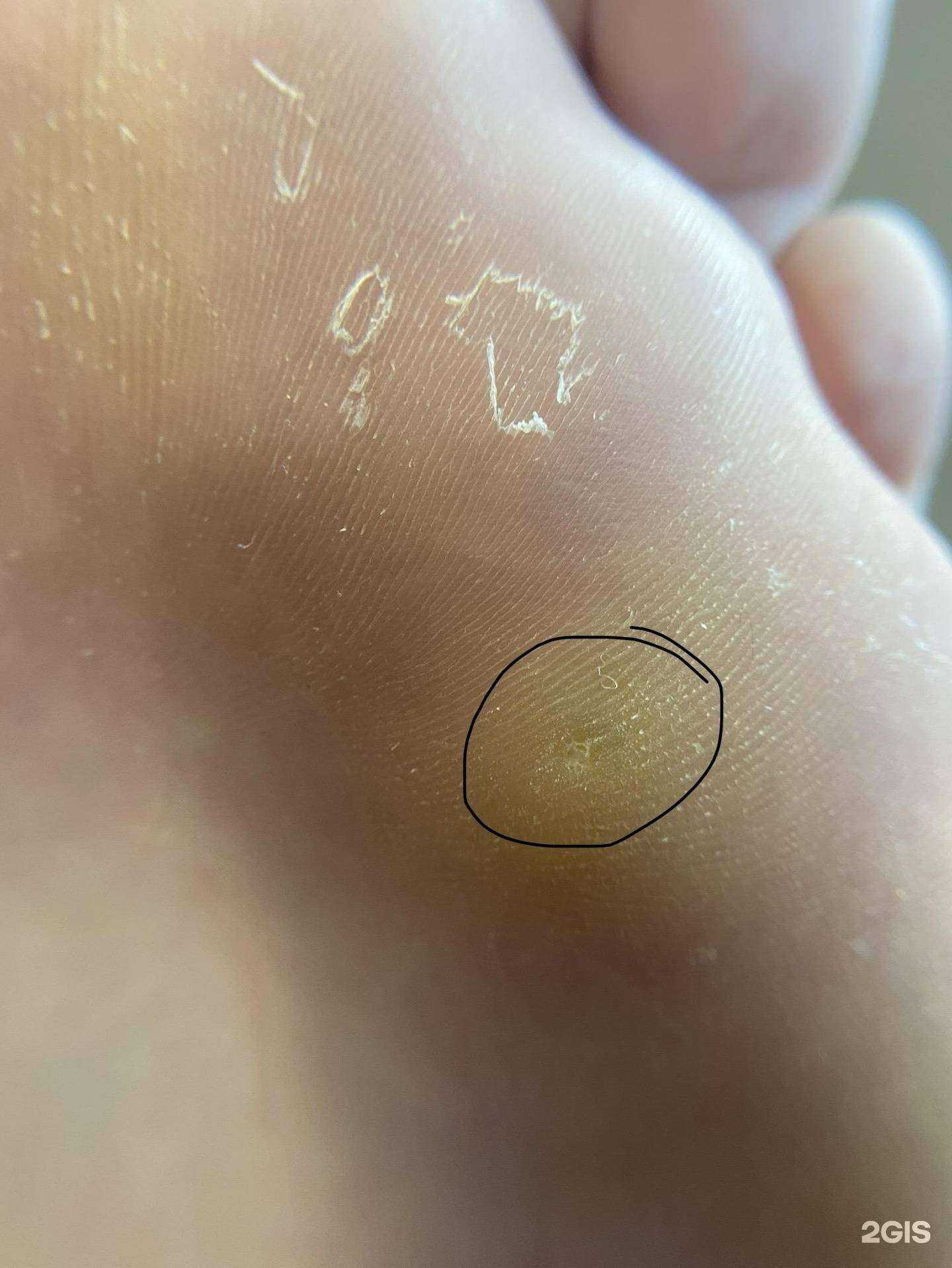 Отзывы на компанию Студия маникюра и педикюра в Архангельске c фото