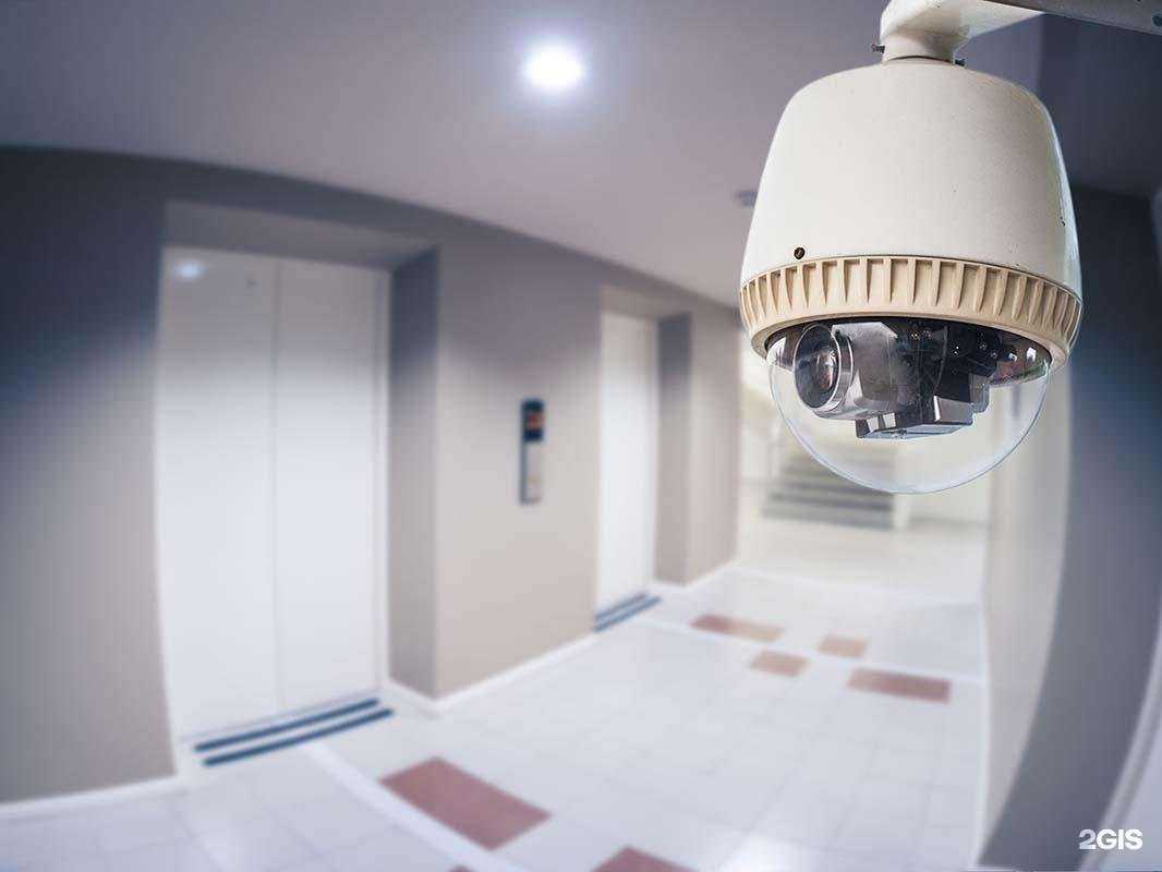 Отзывы на компанию L-Systems в г. Красногорск c фото