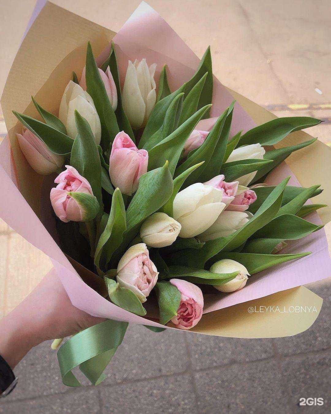 Отзывы на компанию Лейка в Лобне c фото