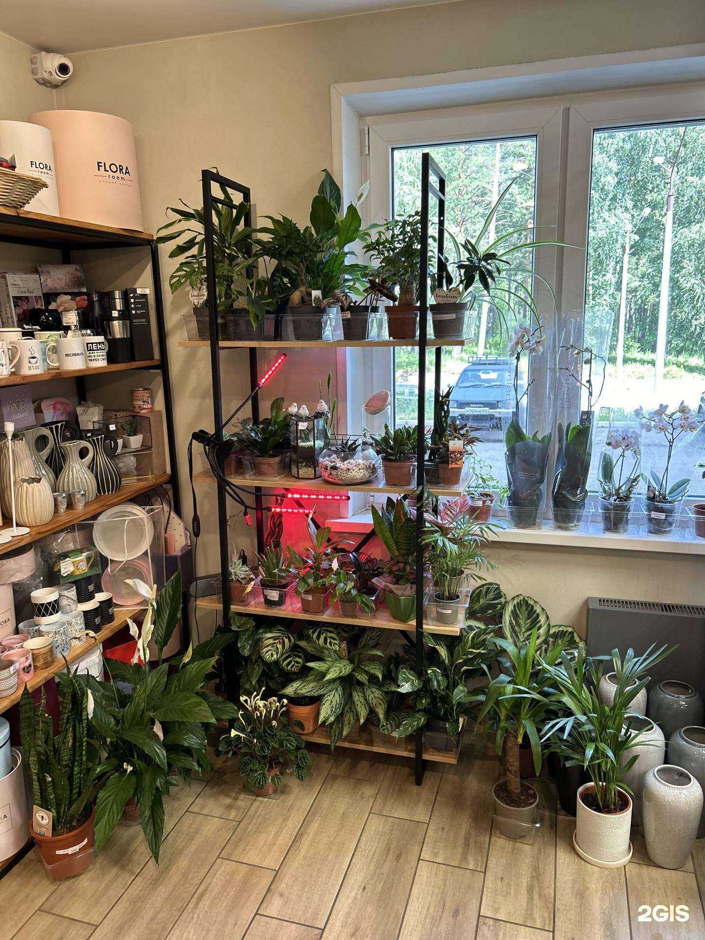 Отзывы на компанию Flora room в Железногорске c фото