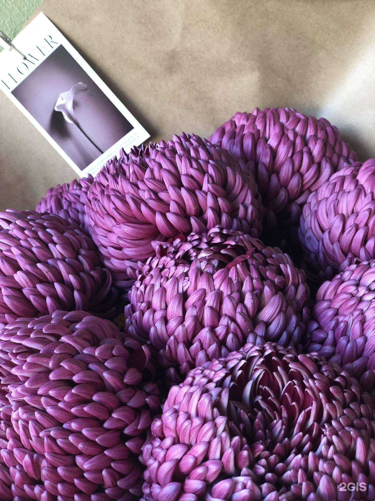 Отзывы на компанию Волга Букет  в г. Энгельс c фото