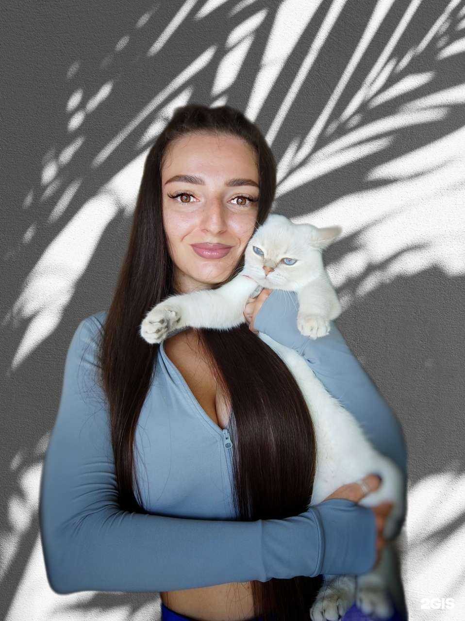 Отзывы на компанию KogteTochka.nvrsk в Новороссийске c фото