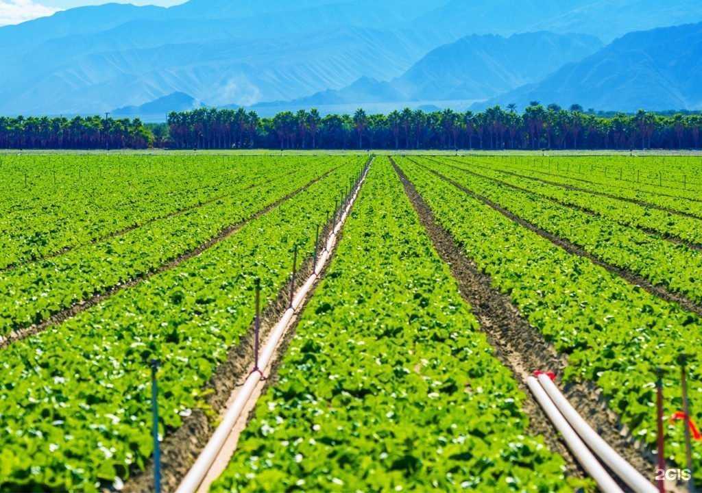 Отзывы на компанию Земля-про.рф в г. Астрахань c фото