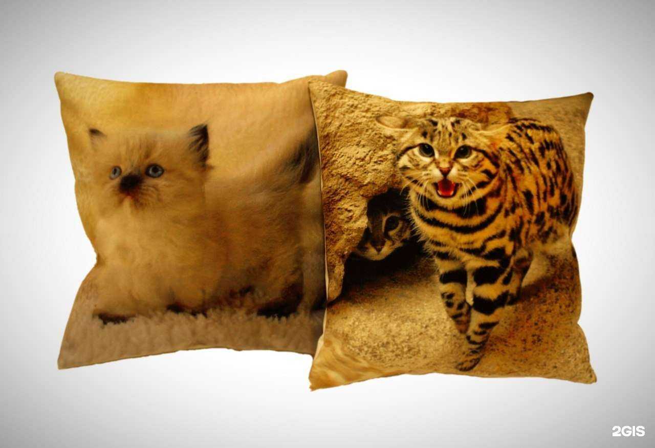 Отзывы на компанию Фотосервис в г. Казань c фото