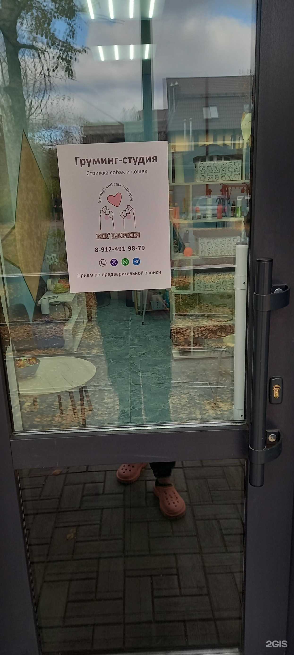 Отзывы на компанию Mr Lapkin в г. Пермь c фото