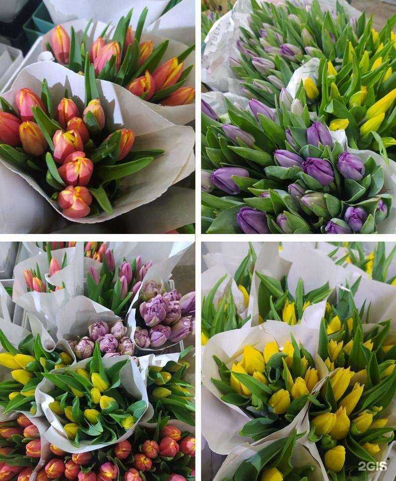 Отзывы на компанию Планета флора в г. Щёлково c фото