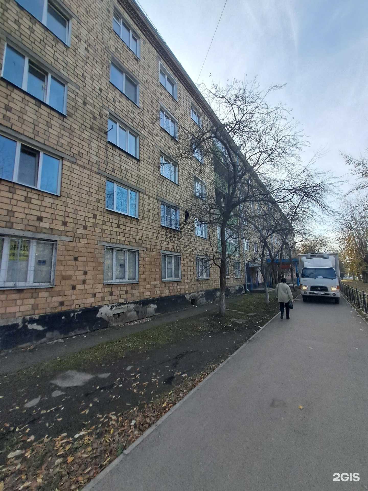 Отзывы на компанию Три кота в Красноярске c фото - фотография 2 из 2