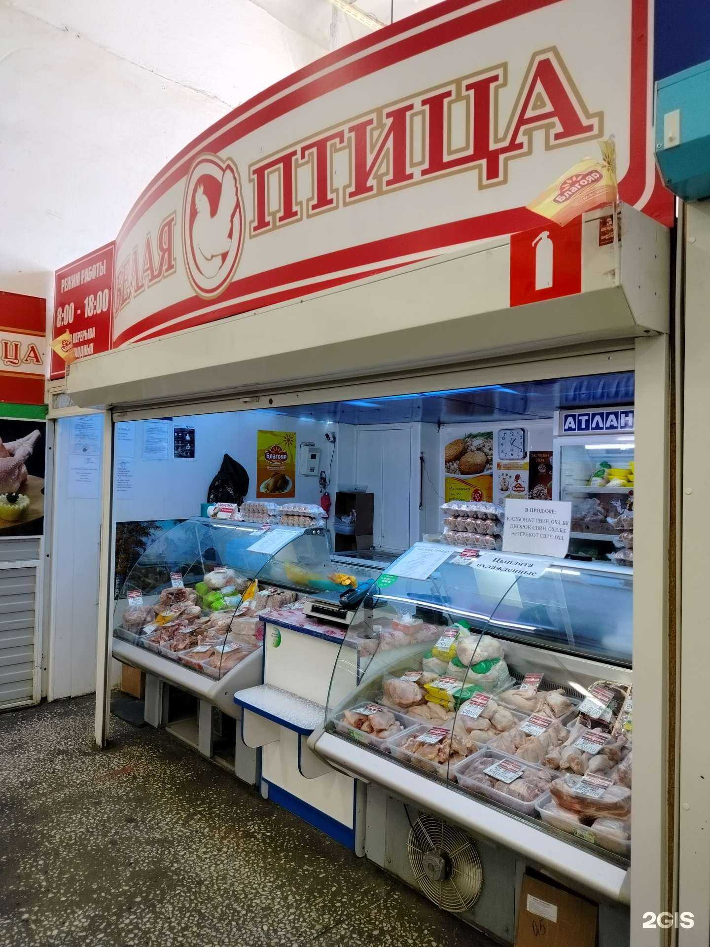 Отзывы на компанию Белая птица в Элисте c фото