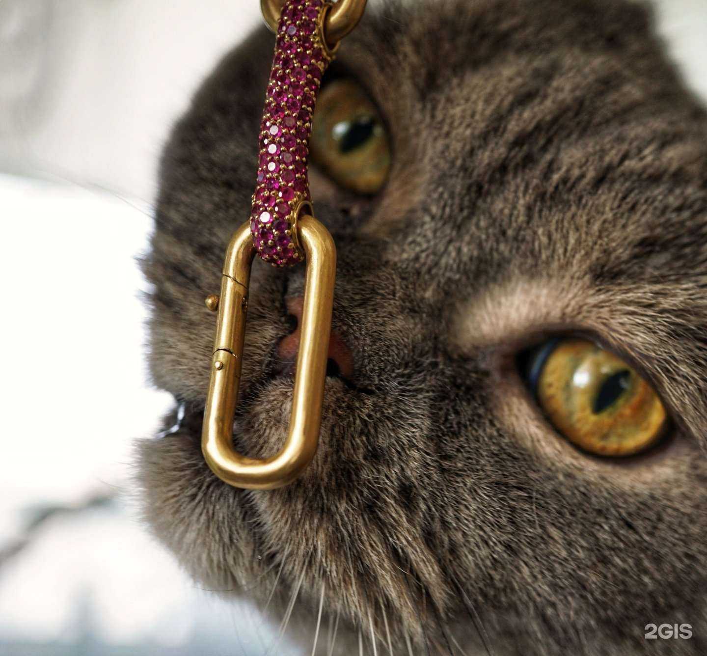 Отзывы на компанию Ювелирная мастерская Андрея Попова в Челябинске c фото