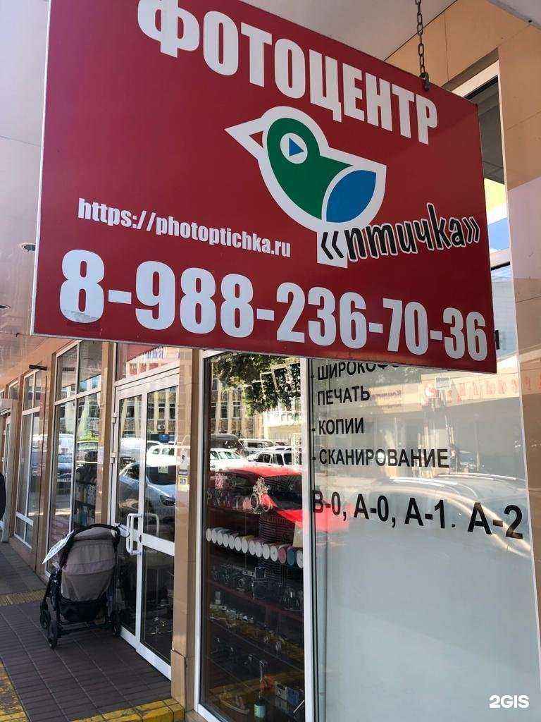 Отзывы на компанию Птичка в г. Сочи c фото