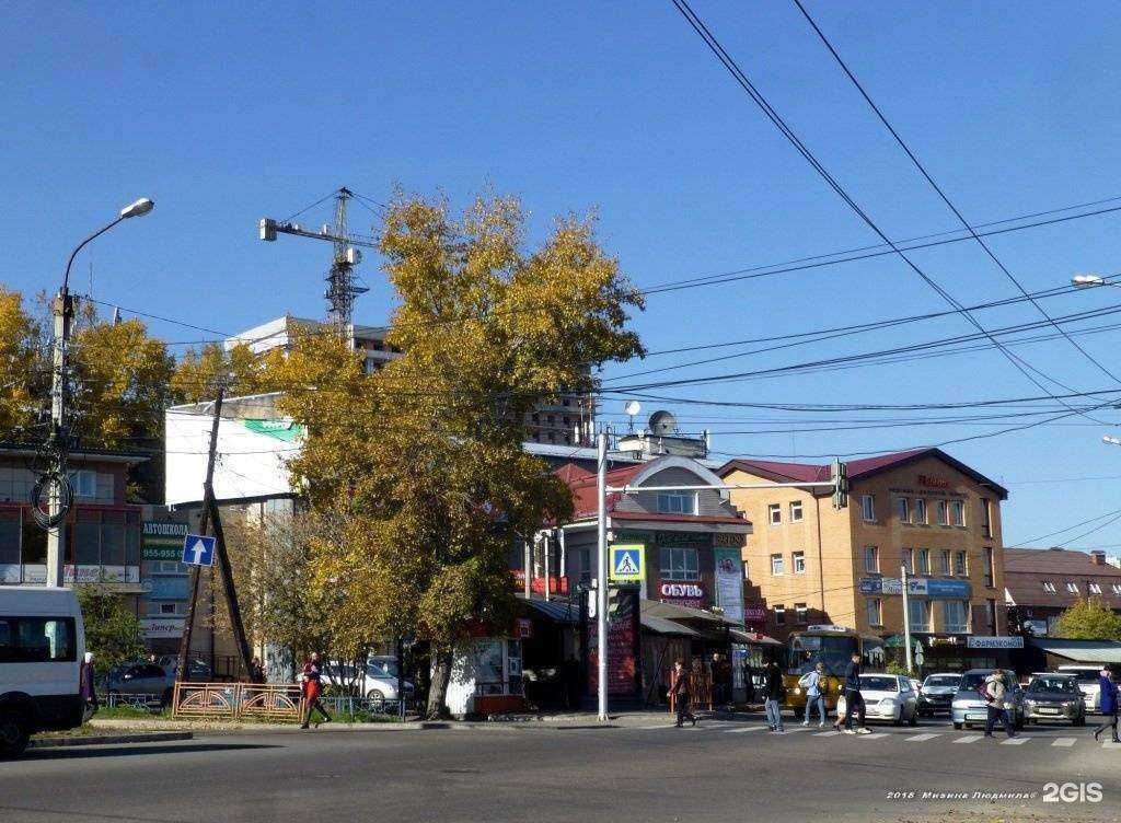 Отзывы на компанию Золотой карп в Иркутске c фото - фотография 2 из 2