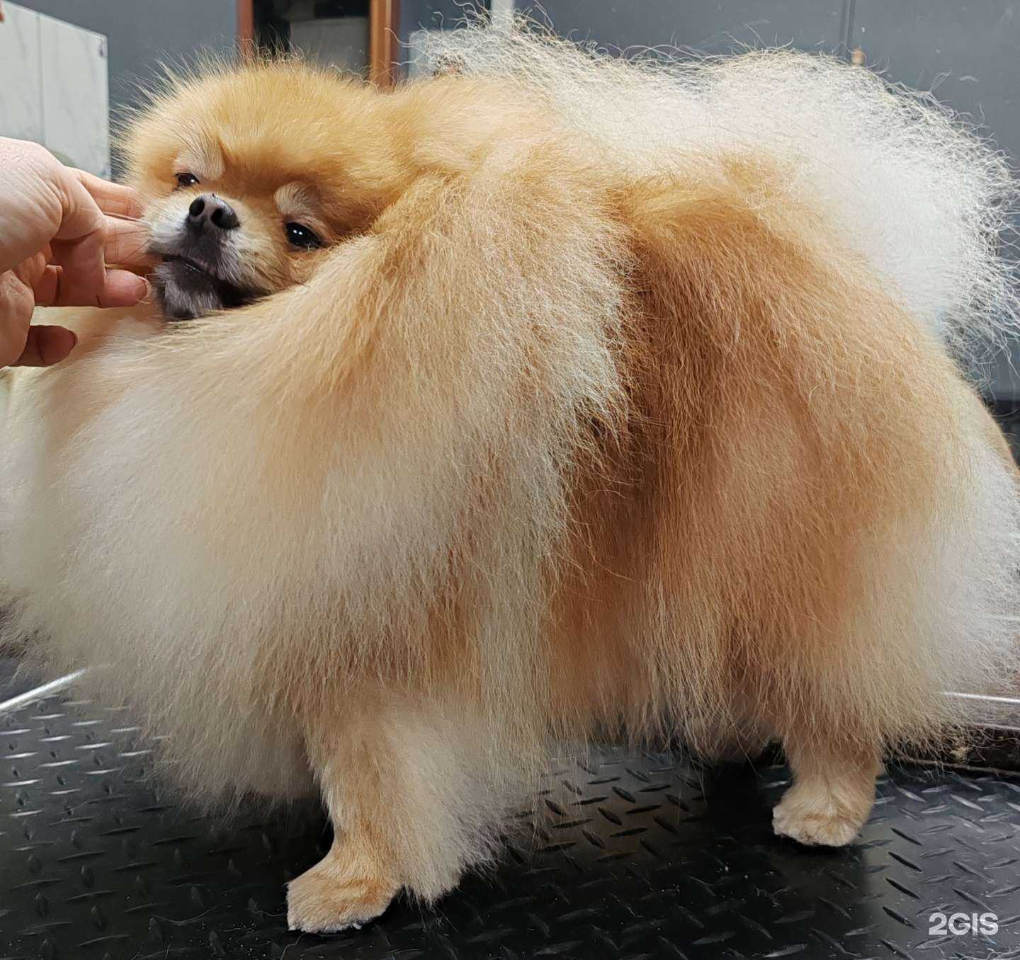 Отзывы на компанию Либерти в Омске c фото