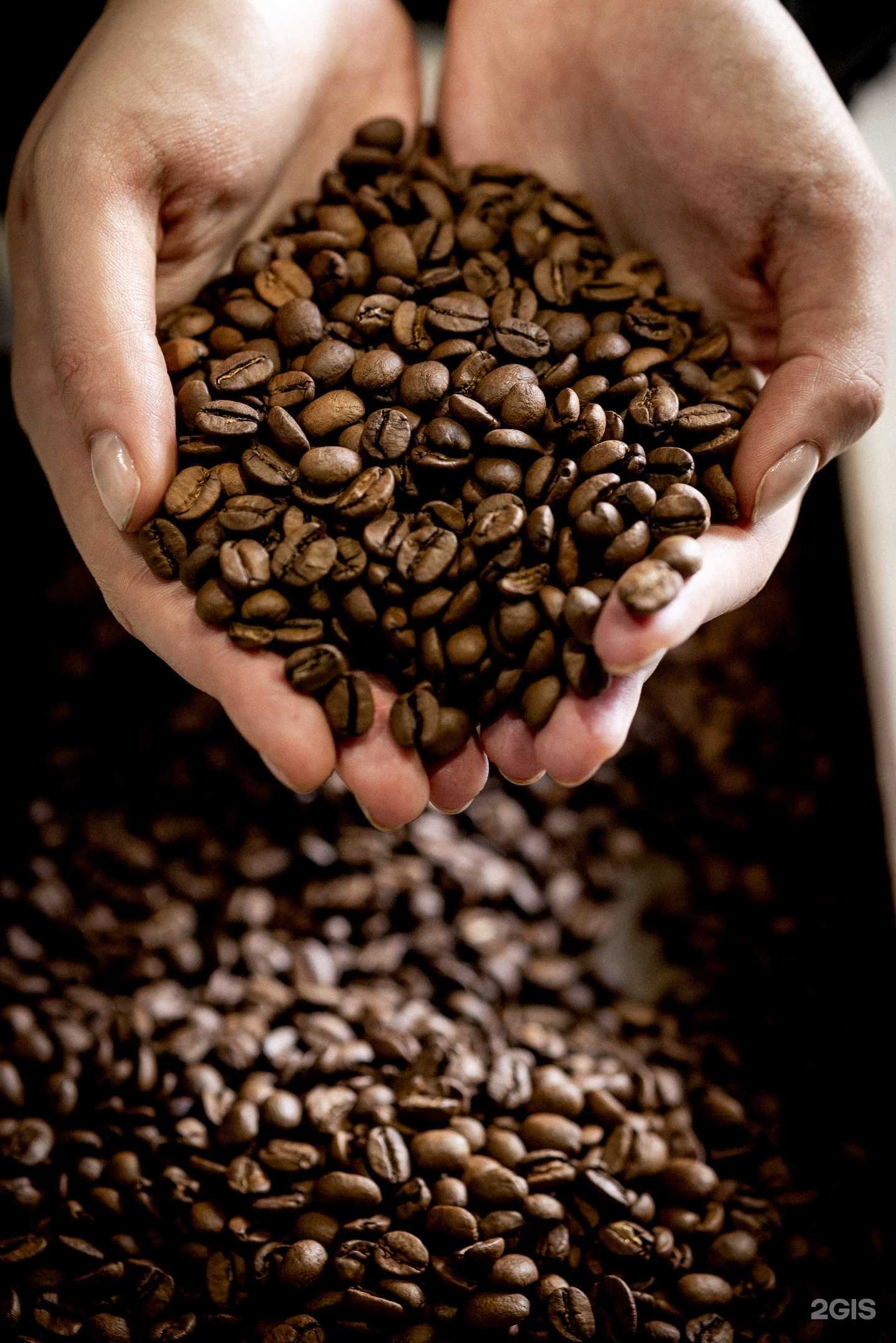 Отзывы на компанию One coffee place в Владивостоке c фото