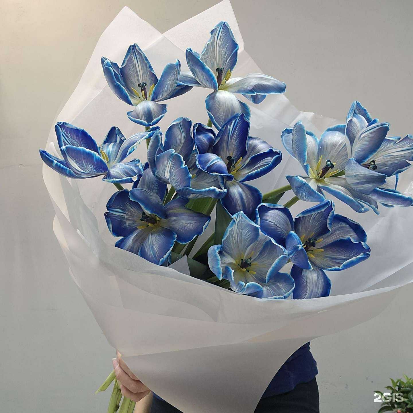 Отзывы на компанию Дом цветов Анны Бакаловой в Воронеже c фото