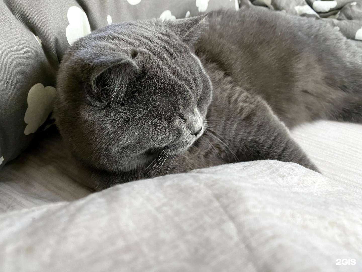 Отзывы на компанию Альфа-шанс в Павловском Посаде c фото