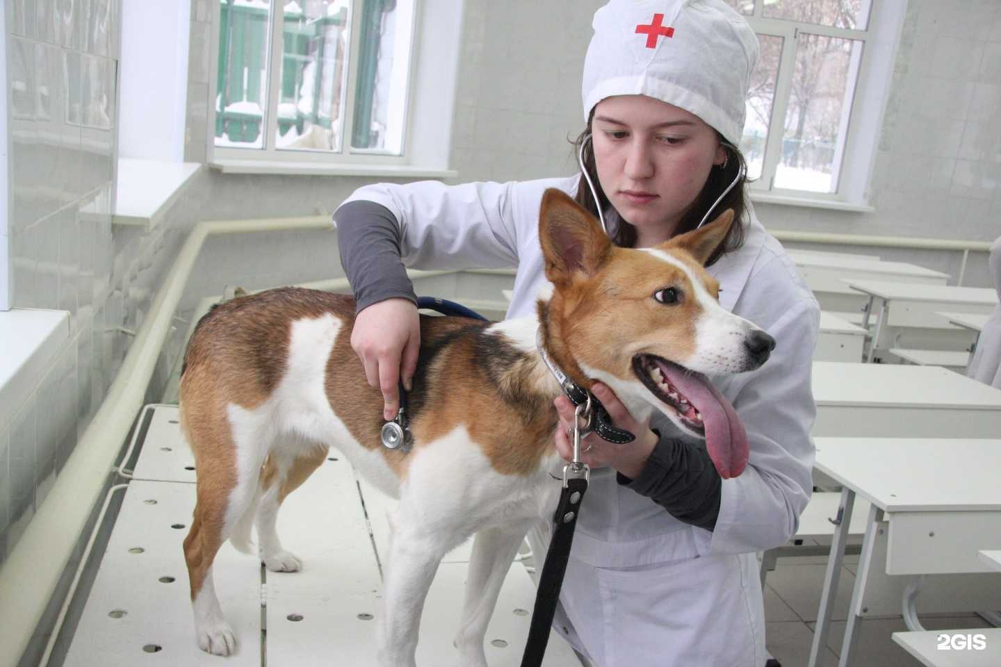 Отзывы на компанию Уральский государственный аграрный университет в Екатеринбурге c фото