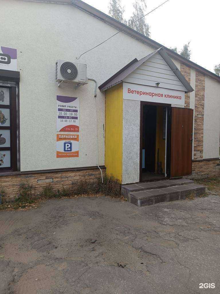 Отзывы на компанию Рыжий кот в Нижнем Новгороде c фото - фотография 2 из 2