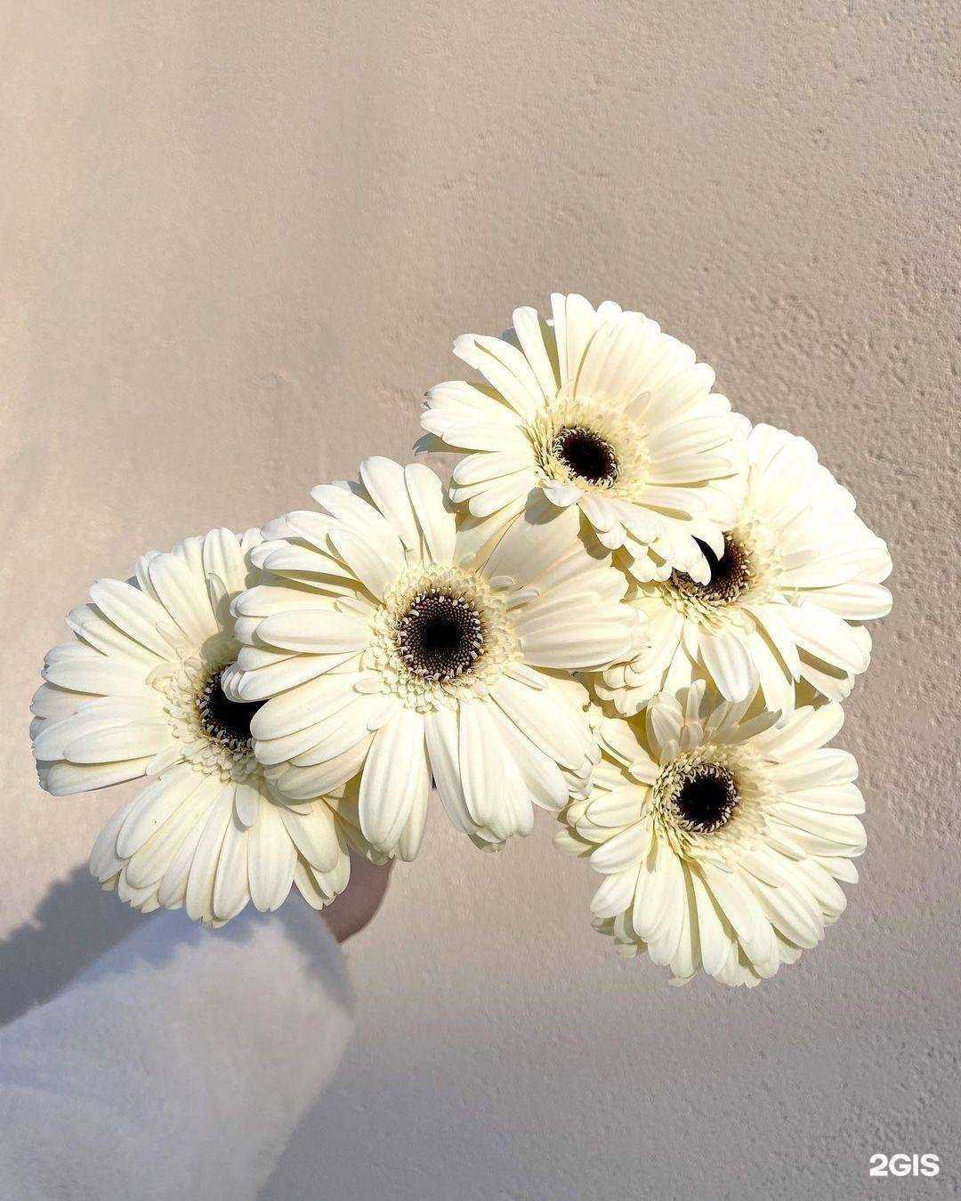 Отзывы на компанию Магазин цветов и подарков в г. Екатеринбург c фото