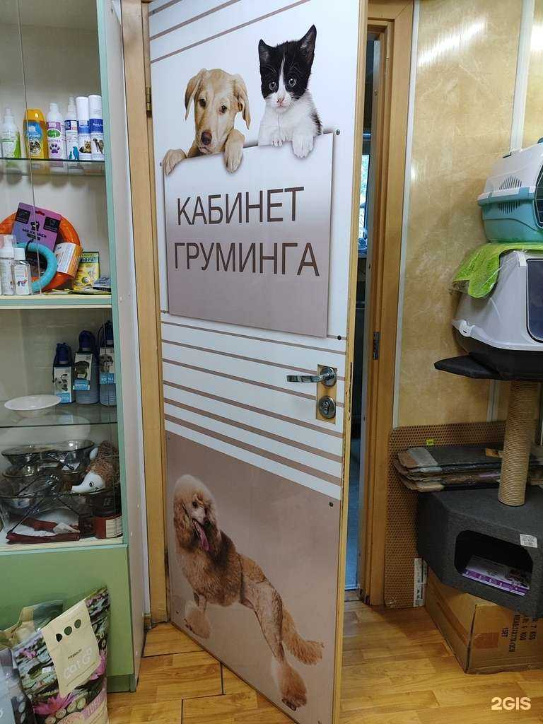 Отзывы на компанию Груминг-салон в г. Гатчина c фото