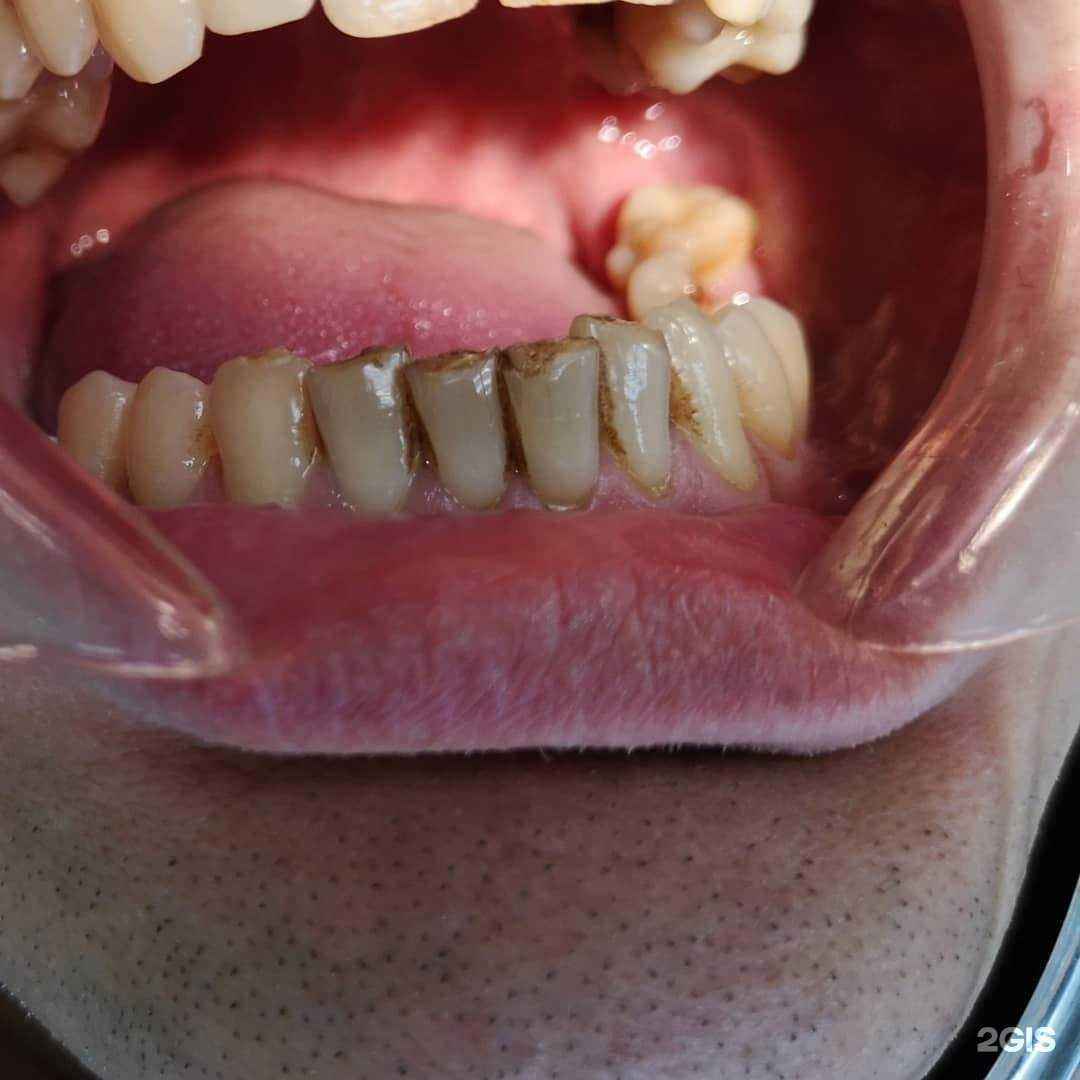 Отзывы на компанию Доктор в г. Петропавловск-Камчатский c фото