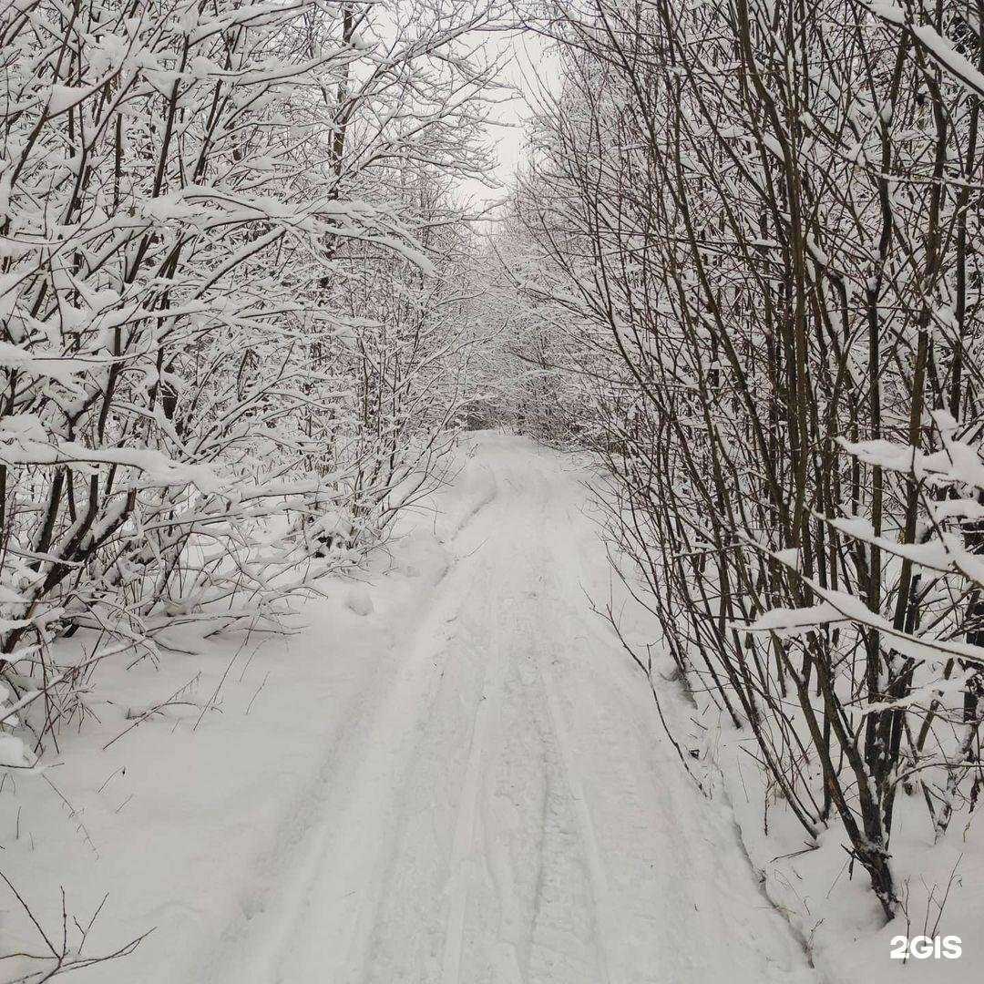 Отзывы на компанию Адвокатский кабинет Андронова А.М. в Солнечногорске c фото