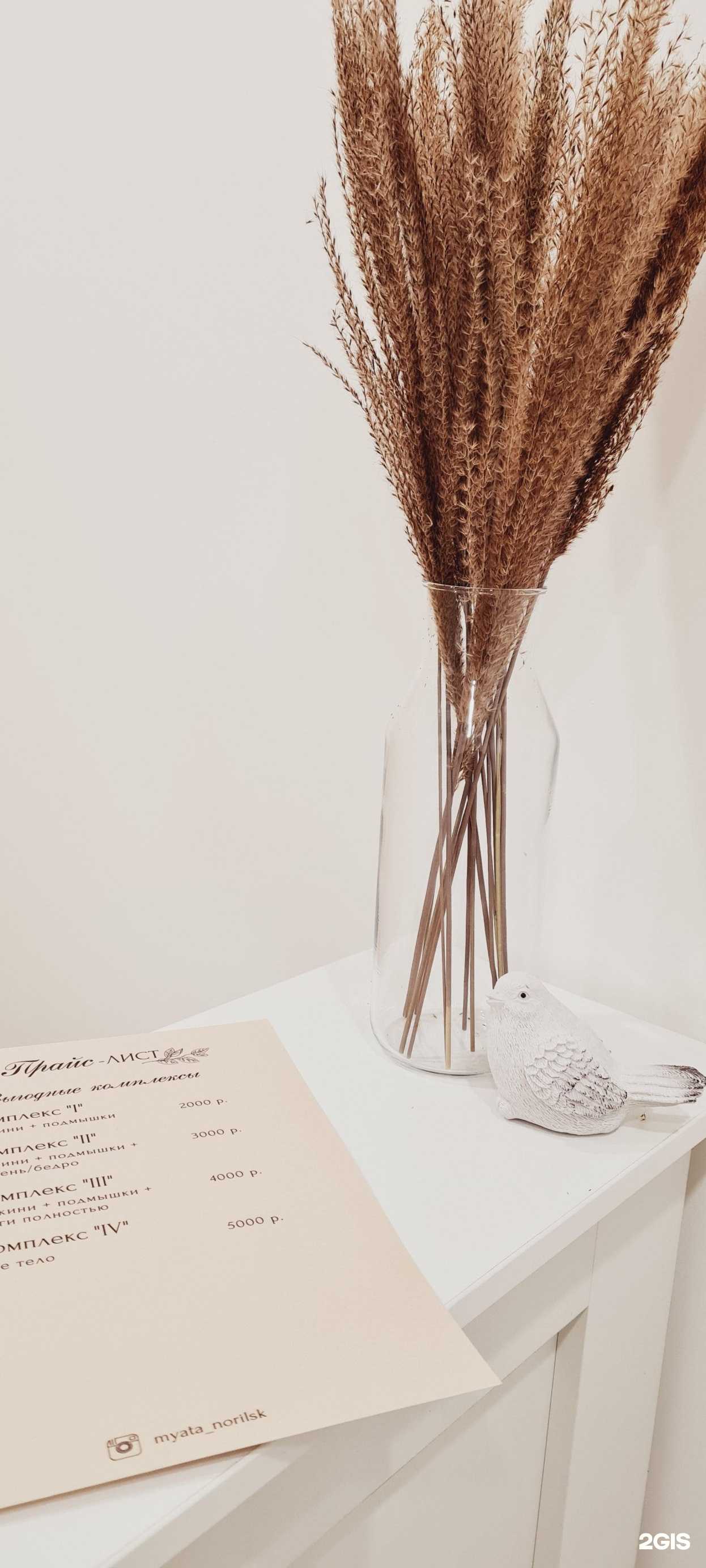 Отзывы на компанию Мята в Норильске c фото