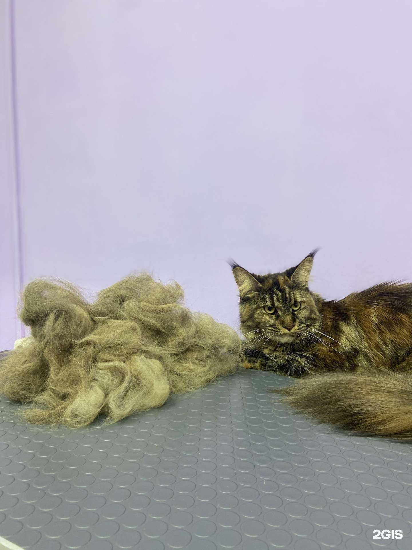 Отзывы на компанию Франческа в Краснодаре c фото