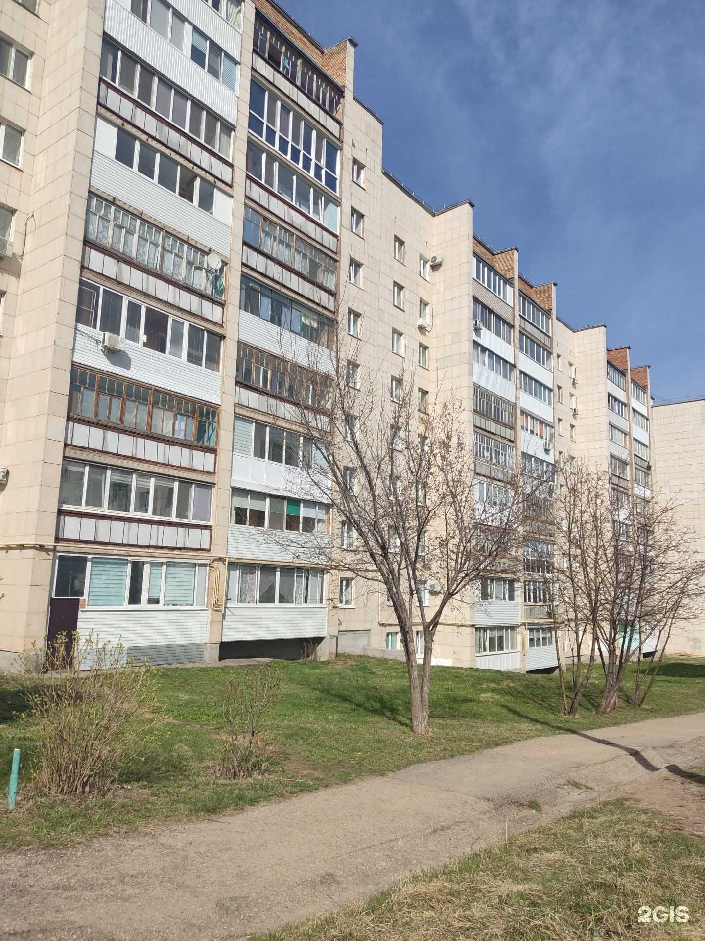 Отзывы на компанию Игуана в Октябрьском c фото - фотография 2 из 2