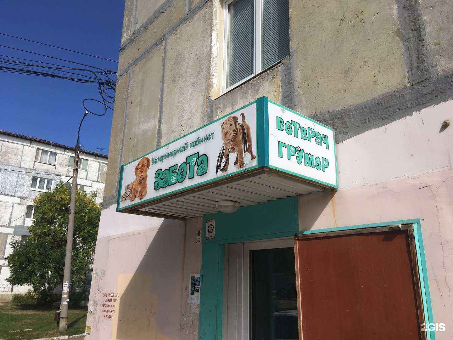 Отзывы на компанию Забота в Новокуйбышевске c фото