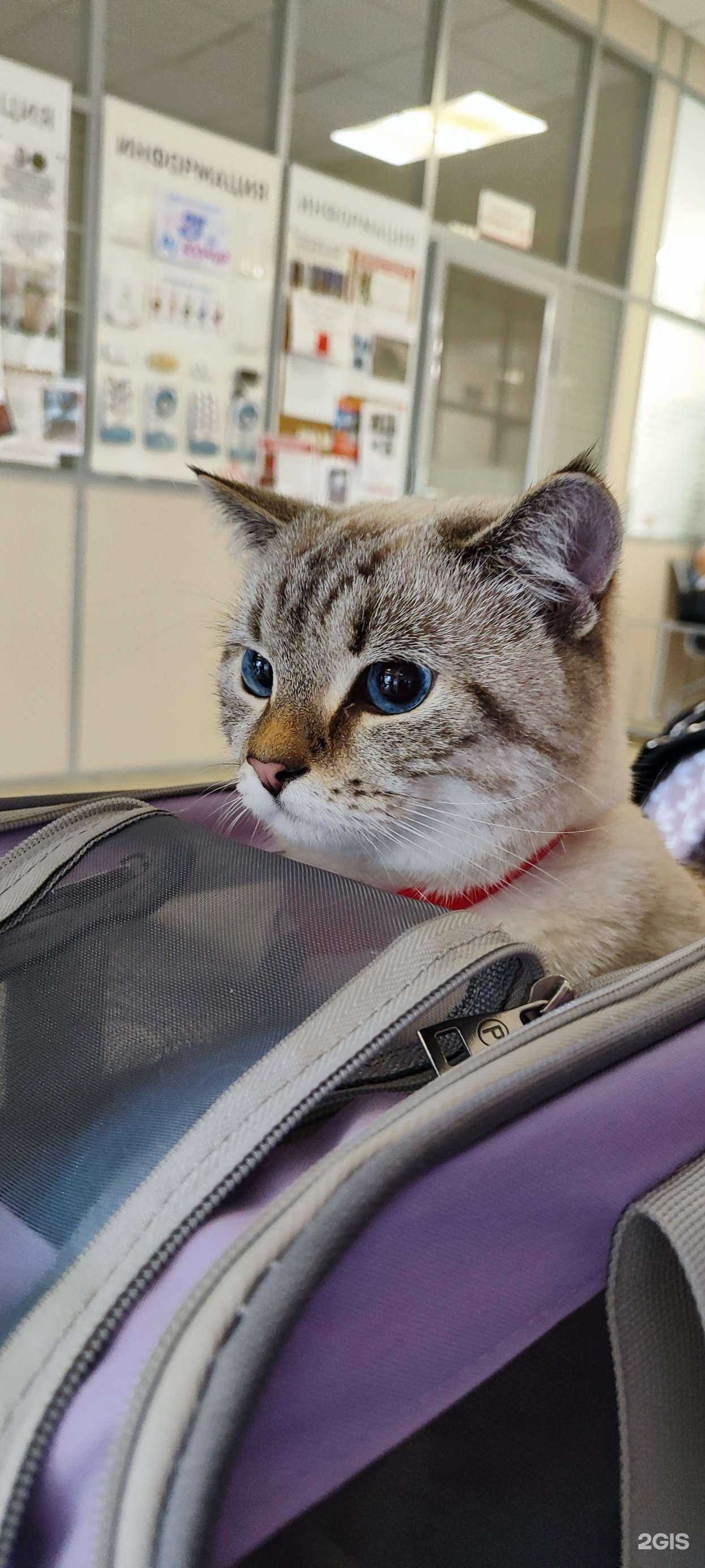 Отзывы на компанию Зоомир в г. Истра c фото