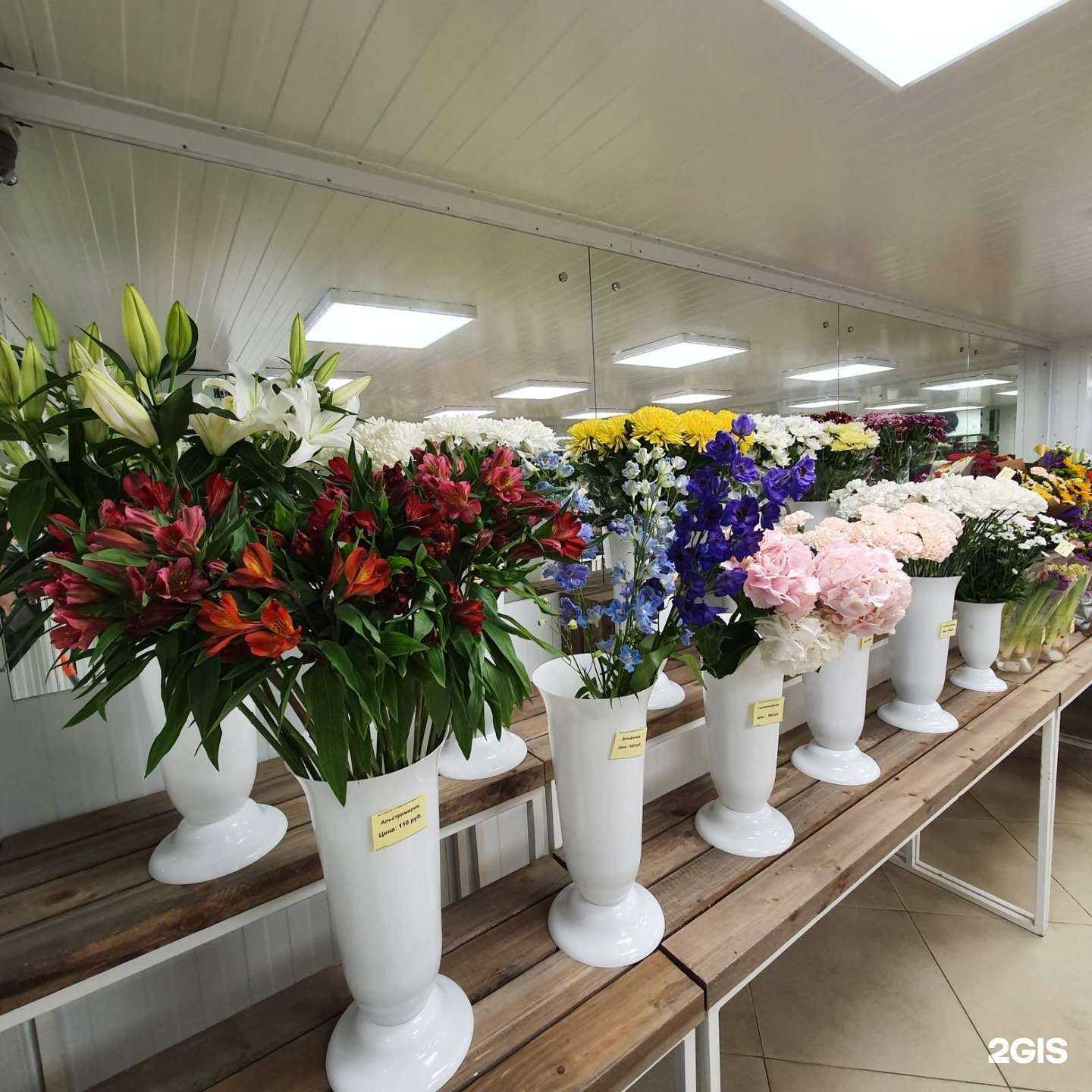 Отзывы на компанию Цветочный №1 в г. Брянск c фото