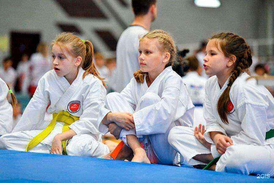 Отзывы на компанию Фудо-Джитсу в Иркутске c фото