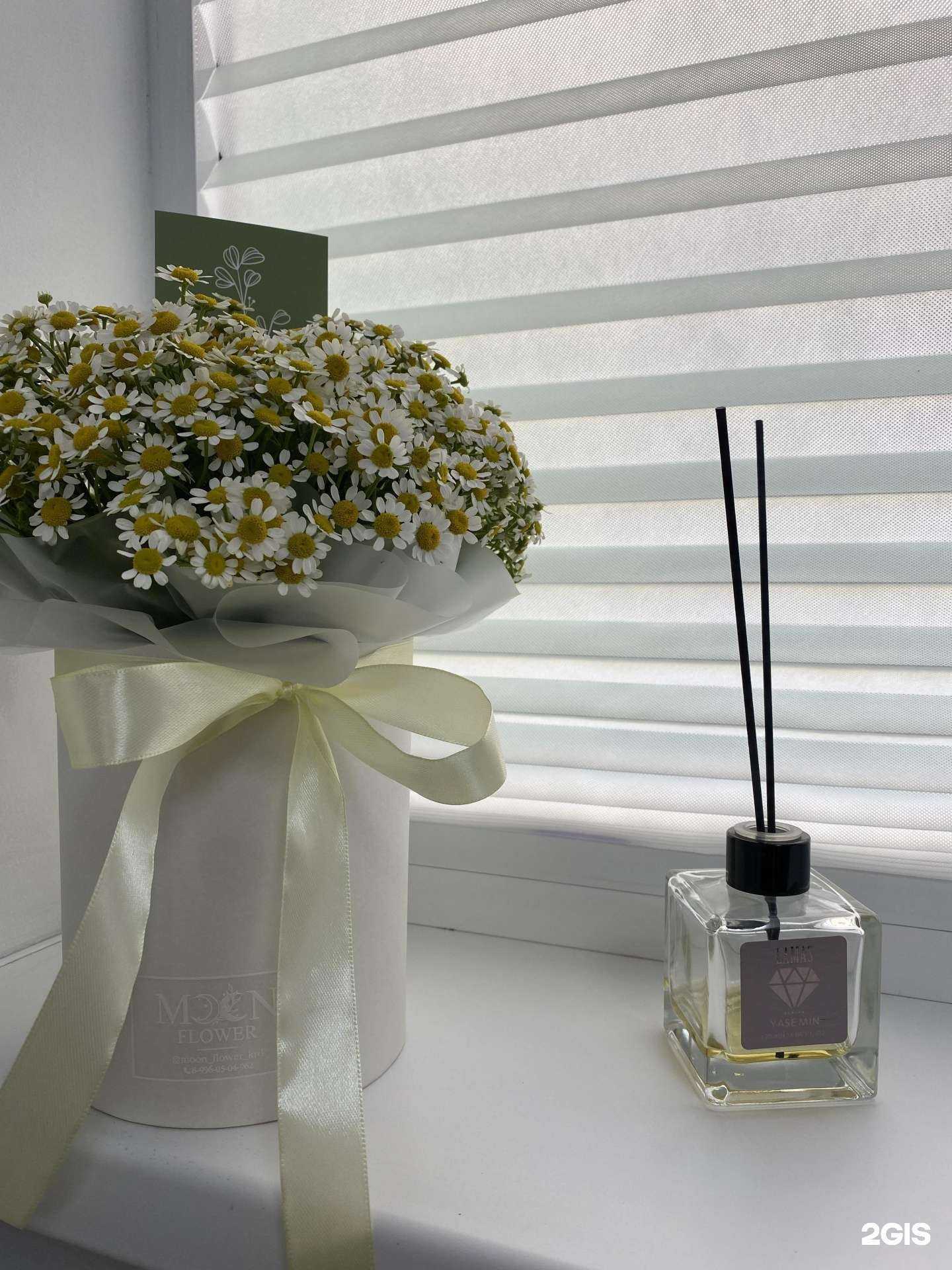 Отзывы на компанию Котолария в Краснодаре c фото