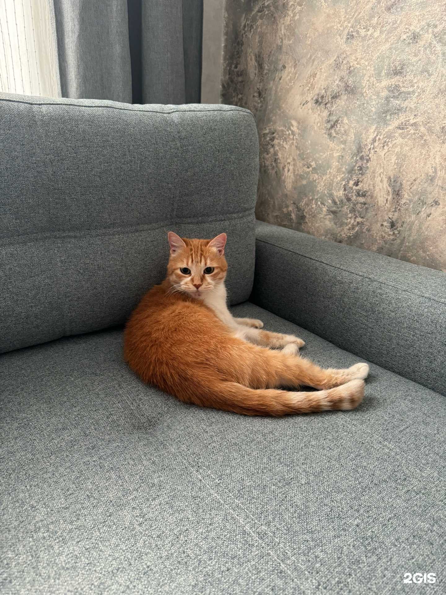 Отзывы на компанию Decona в г. Краснодар c фото