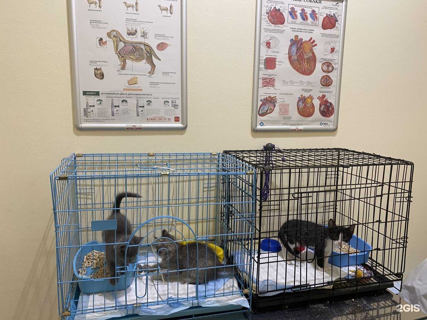 Отзывы на компанию Котофей в г. Челябинск c фото