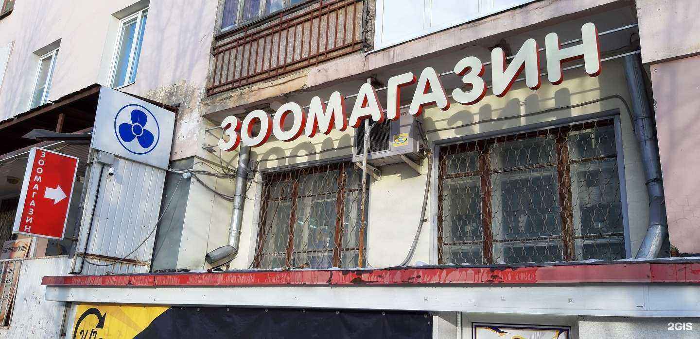 Отзывы на компанию Усатый полосатый в Иванове c фото