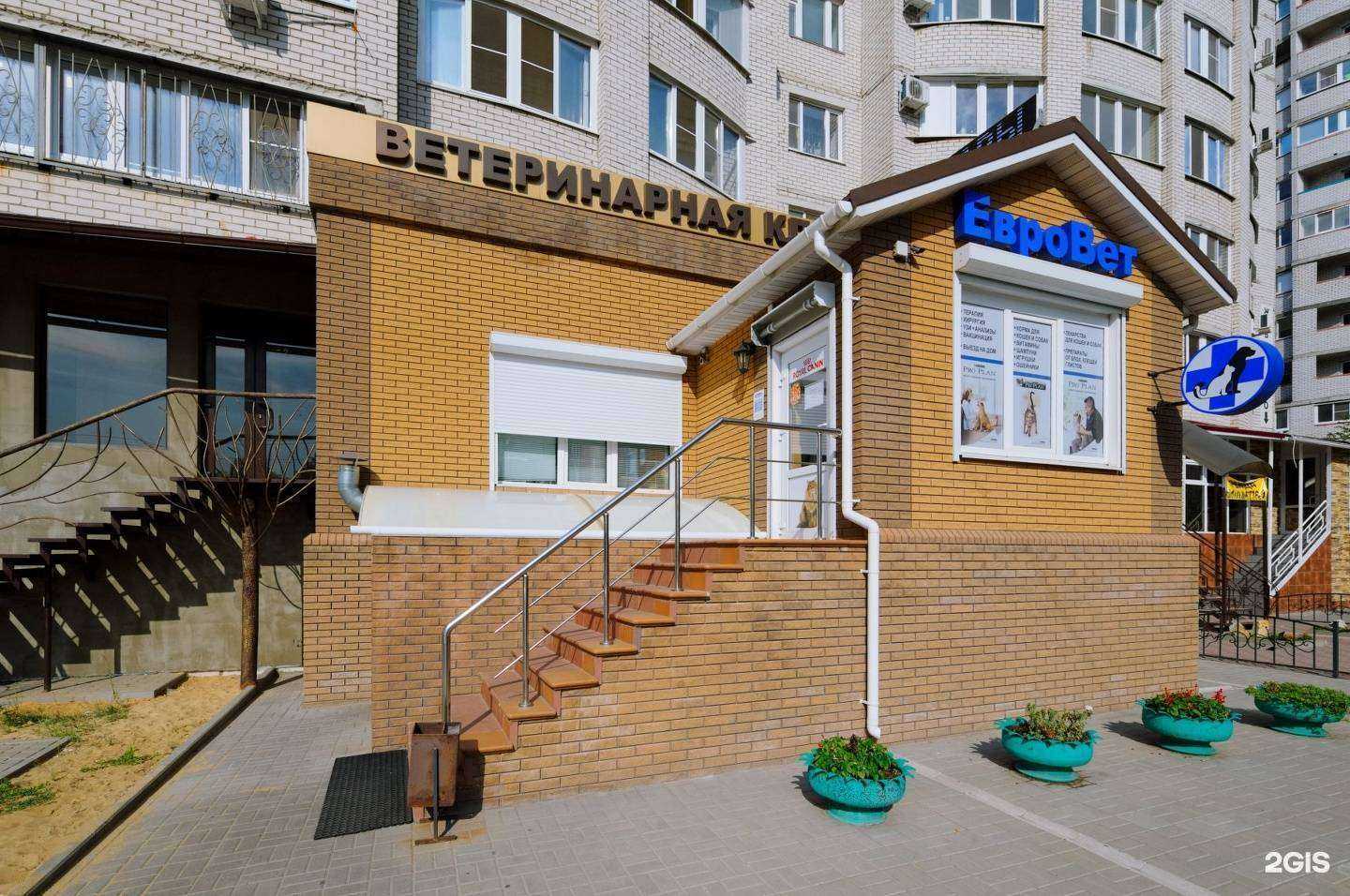 Отзывы на компанию ЕвроВет в Воронеже c фото