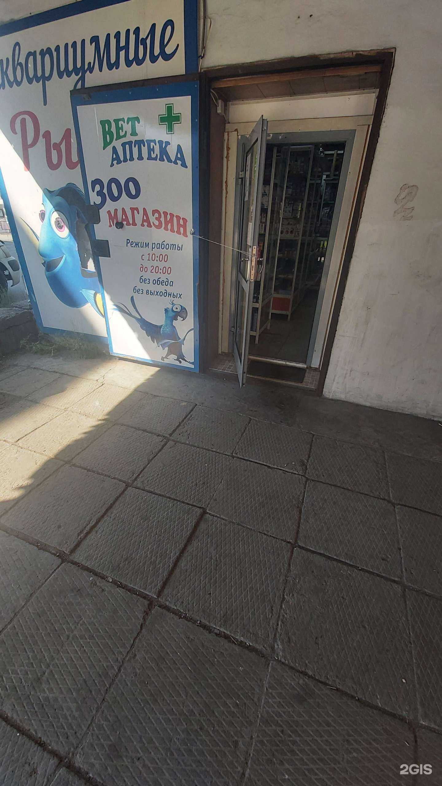 Отзывы на компанию ЗОО Макс в Иркутске c фото