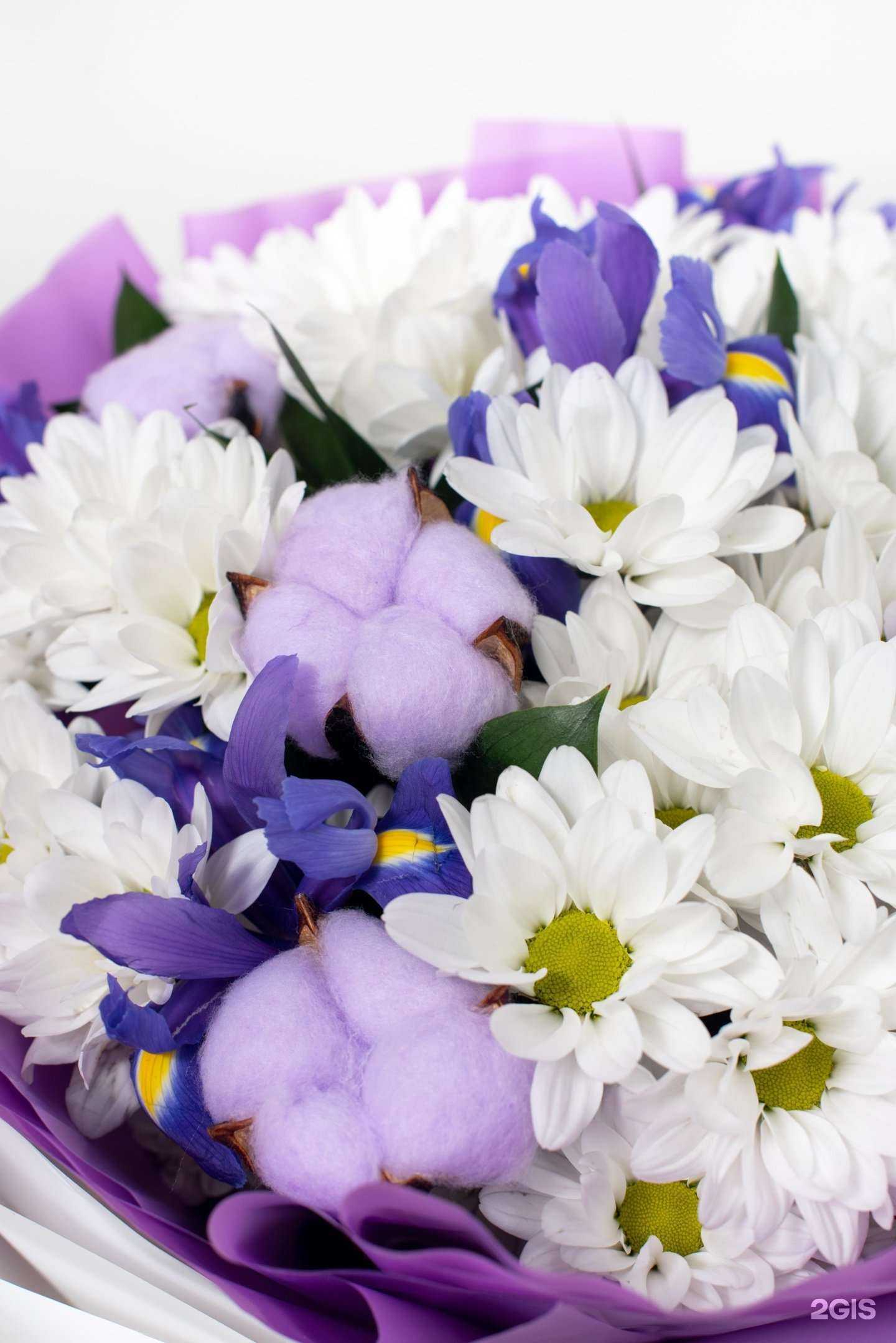 Отзывы на компанию Дом цветков в Камени-на-Оби c фото