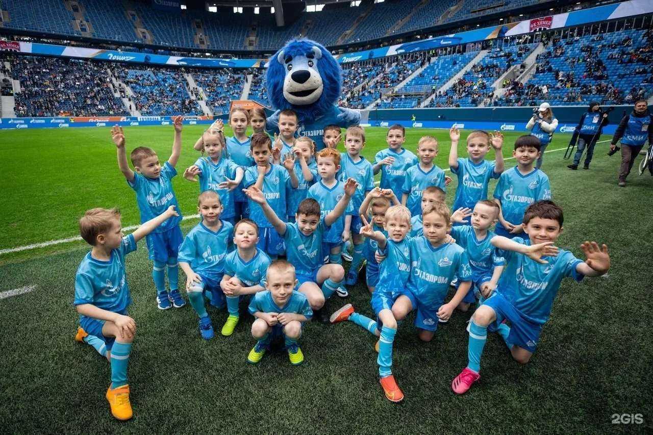 Отзывы на компанию Зенит Чемпионика в Рязани c фото