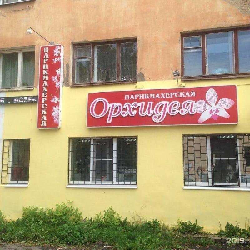 Отзывы на компанию Орхидея в Вологде c фото