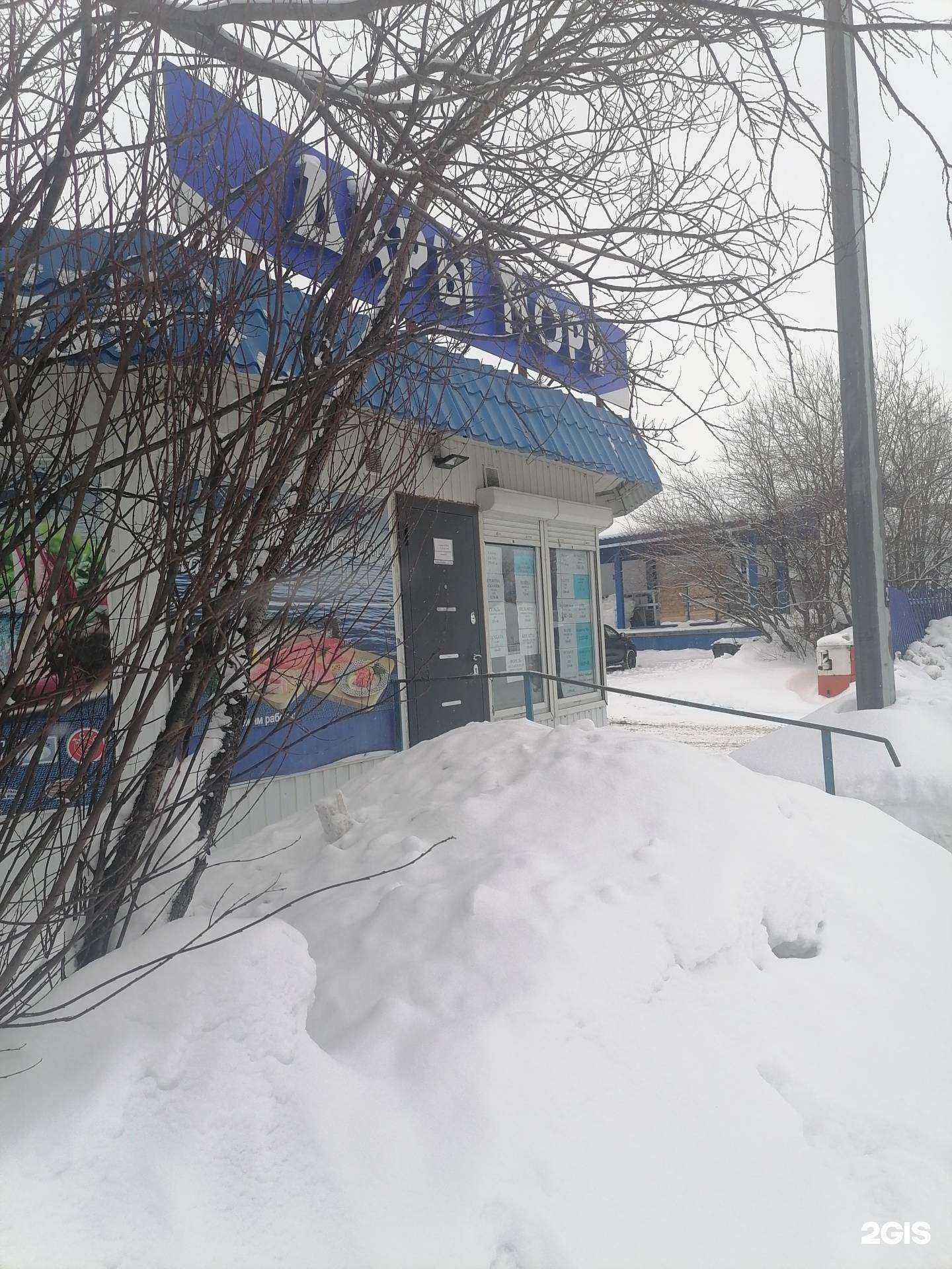 Отзывы на компанию Дары моря в г. Мурманск c фото