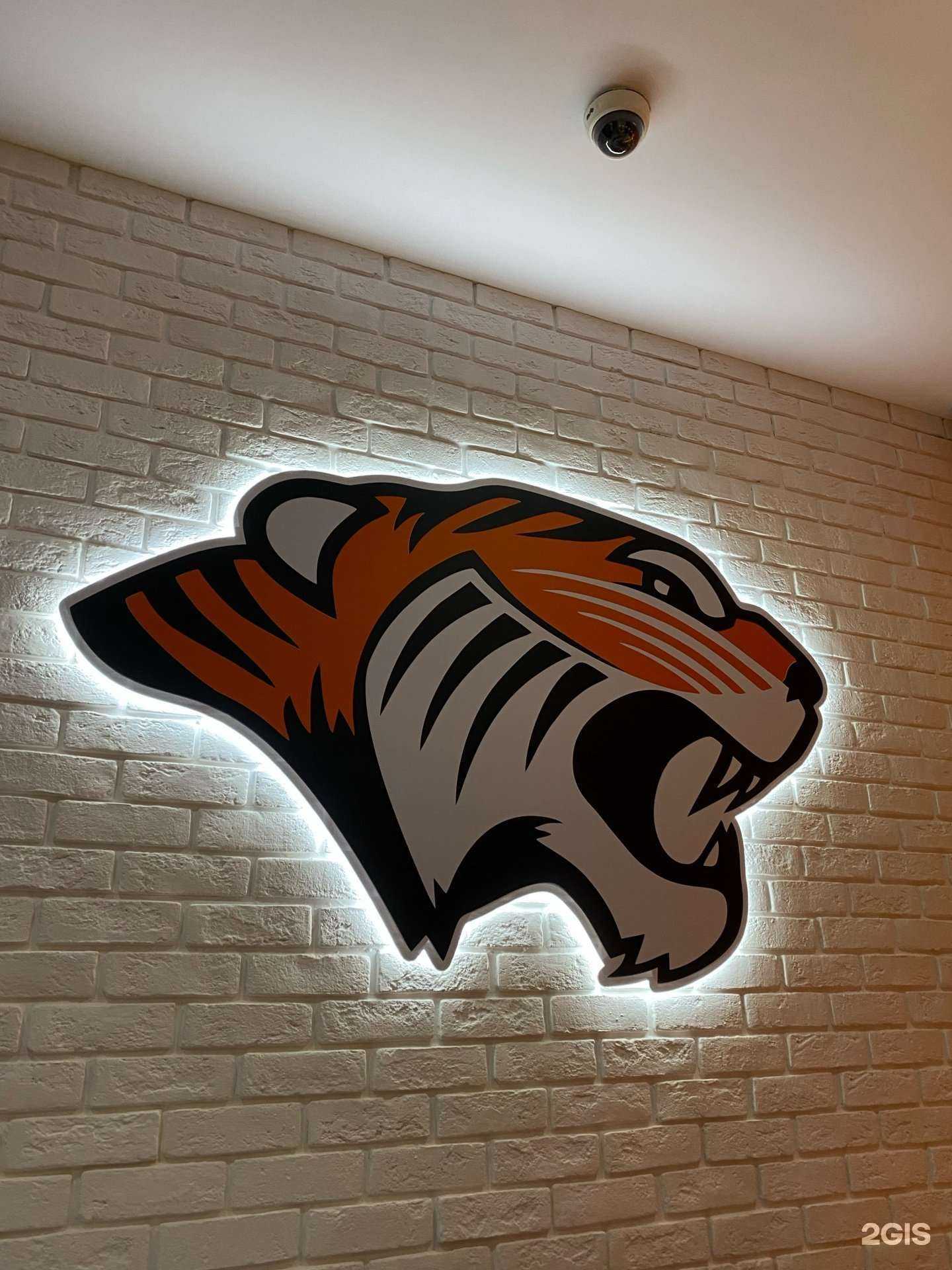 Отзывы на компанию Tiger team в г. Самара c фото