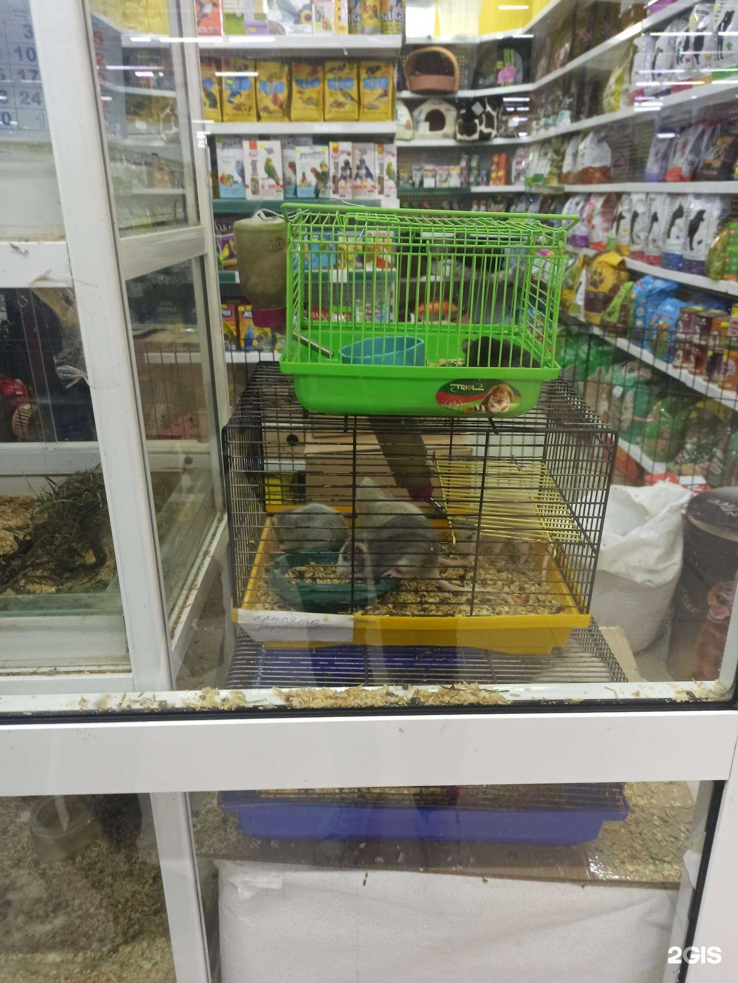 Отзывы на компанию Хвостики в г. Томск c фото