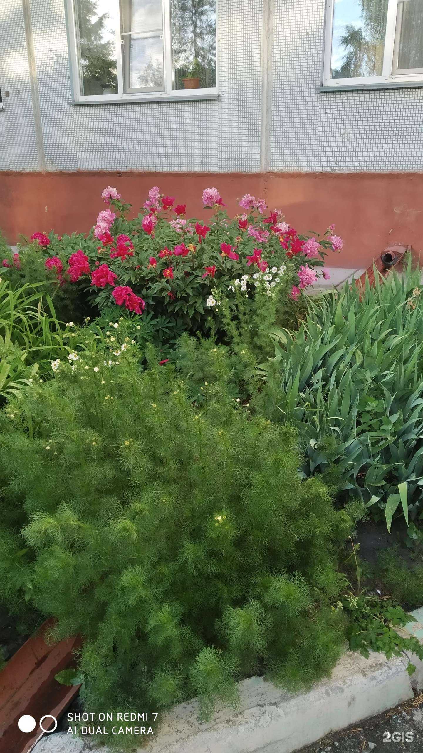 Отзывы на компанию Satec в Новосибирске c фото