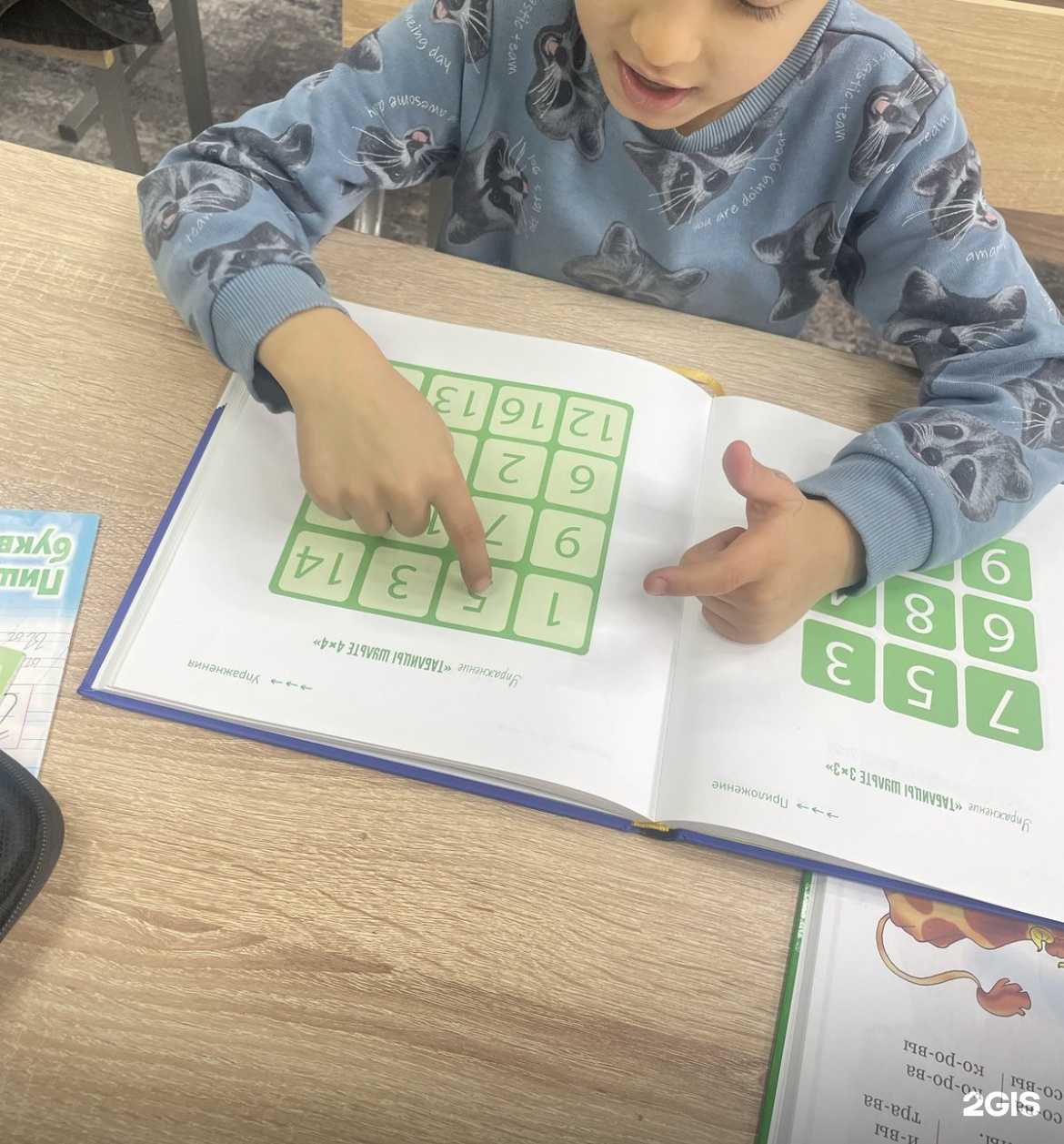 Отзывы на компанию Сова в Махачкале c фото