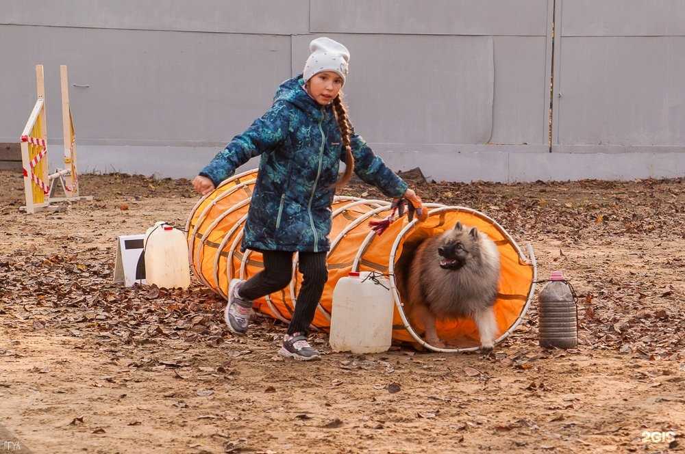 Отзывы на компанию Abc Dog School в Комсомольске-на-Амуре c фото